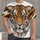 Realistic Tiger Face for Relaxed Everyday Style and Casual Weekend Wear All-over Print Unisex T-shirt - 1