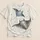 Manta Ray Under The Stars For Ocean Lovers And Casual Coastal Adventures For Teens All-over Print Unisex T-shirt - 5