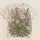 Wildflower Meadow Blooms for Garden Walks and Everyday Style for Nature Loving Adults All-over Print Unisex T-shirt - 5