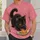 Black Kitten Chasing Crispy Shrimp for Playful Everyday Cat Lover Style All-over Print Unisex T-shirt - 6