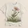 Snail And Daisy Meadow Scene For Nature Lovers, Garden Walks And Casual Days Outdoors All-over Print Unisex T-shirt - 5