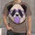 Panda Heart Glasses Bubblegum Cute Casual Style for Teens and Adults Everyday Wear All-over Print Unisex T-shirt - 1