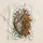 Anatomical Heart With Wildflowers for Everyday Nature Lovers and Art Enthusiasts All-over Print Unisex T-shirt - 5