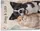 Personalized Pet Duo Watercolor Portrait Blanket – Custom Dog Cat Photo Fleece Throw with Names, Gift for Pet Lovers - 6