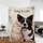 Personalized Pet Duo Watercolor Portrait Blanket – Custom Dog Cat Photo Fleece Throw with Names, Gift for Pet Lovers - 4