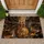 Lion Cub and Lion Reflection for Wildlife Lovers and Nature-Inspired Home Decorating Doormat - 1
