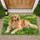 Golden Retriever Resting in Green Grass for a Cozy Pet-Loving Home and Dog Families Doormat - 1