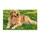 Golden Retriever Resting in Green Grass for a Cozy Pet-Loving Home and Dog Families Doormat - 6