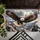 Bald Eagle Over Canyon for a Bold Nature-Inspired Entryway and Outdoor Living Style Doormat - 5