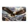 Bald Eagle Over Canyon for a Bold Nature-Inspired Entryway and Outdoor Living Style Doormat - 6