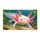 Pink Axolotl Aquarium Scene for Cheerful Entryway Style and Aquatic Animal Lovers Doormat - 6