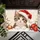 Wide-Eyed Santa Hat Kitten With Snowy Christmas Ornaments For Cozy Holiday Home Decor Doormat - 5