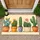 Colorful Potted Cactus and Succulent Collection for Cheerful Desert-Inspired Homes Doormat - 1