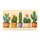 Colorful Potted Cactus and Succulent Collection for Cheerful Desert-Inspired Homes Doormat - 6