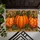 Autumn Pumpkin Trio for Cozy Harvest Season Entryways and Welcoming Farmhouse Homes Doormat - 5