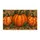 Autumn Pumpkin Trio for Cozy Harvest Season Entryways and Welcoming Farmhouse Homes Doormat - 6