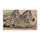 Resting Zebras for Wildlife-Inspired Home Living and Nature-Loving Animal Enthusiasts Doormat - 6