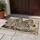Resting Zebras for Wildlife-Inspired Home Living and Nature-Loving Animal Enthusiasts Doormat - 4