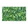 Lush Monstera Leaves for Tropical Home Style and Relaxed Everyday Living Doormat - 6