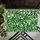 Lush Monstera Leaves for Tropical Home Style and Relaxed Everyday Living Doormat - 5