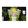 Funny Green Frog Reading a Newspaper on the Toilet for Quirky Bathroom Decorating Doormat - 6