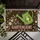 Green Watering Can and Blush Blooms for Garden Lovers and Springtime Cheer Doormat - 5