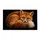 Resting Red Fox Wildlife Scene For Rustic Woodland Home Decor Doormat - 6