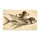 Vintage Flying Fish and Bowler-Hat Dog for Whimsical Entryway Style in Eclectic Homes Doormat - 6