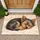 Sleeping Yorkshire Terrier Puppy for Cozy Pet-Loving Homes and Calm Living Spaces Doormat - 1