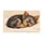 Sleeping Yorkshire Terrier Puppy for Cozy Pet-Loving Homes and Calm Living Spaces Doormat - 6