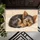 Sleeping Yorkshire Terrier Puppy for Cozy Pet-Loving Homes and Calm Living Spaces Doormat - 5