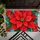 Red Poinsettia on Bright Blue for Christmas Cheer and Festive Seasonal Entryway Style Doormat - 5