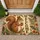 Rustic Squirrel And Woodland Botanicals For A Cozy Forest-Inspired Entryway Welcome Doormat - 1