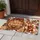 Gingerbread Cookie And Reindeer Merry Christmas Cheer For Cozy Holiday Celebrations Doormat - 4