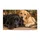 Black and Golden Labrador Pair for Cozy Farmhouse Entryway Style for Dog Lovers Doormat - 6