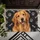 Golden Retriever Portrait With Paw Prints For Dog Lovers And Pet-Friendly Homes Doormat - 5