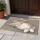 Sleepy Gray Rabbit With Pink Ears For Cozy Cottage And Woodland Home Styling Lovers Doormat - 4