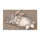 Sleepy Gray Rabbit With Pink Ears For Cozy Cottage And Woodland Home Styling Lovers Doormat - 6