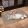 Sleepy Gray Rabbit With Pink Ears For Cozy Cottage And Woodland Home Styling Lovers Doormat - 2