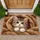 Fluffy Kitten Peeking From Cozy Blanket Nest for Cat Lovers and Cozy Homes Doormat - 1