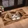 Fluffy Kitten Peeking From Cozy Blanket Nest for Cat Lovers and Cozy Homes Doormat - 2