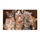 Adorable Kitten Faces for Cozy Cat-Loving Homes and Warm Everyday Pet-Friendly Living Doormat - 6