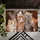 Adorable Kitten Faces for Cozy Cat-Loving Homes and Warm Everyday Pet-Friendly Living Doormat - 5