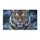 Majestic Tiger Portrait For Wildlife Lovers And Nature Inspired Entryway Style Doormat - 6
