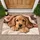 Golden Cocker Spaniel Puppy Under Cozy Blanket for a Warm, Welcoming Home Entryway Doormat - 1