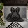 Scottish Terrier Portrait for Dog Lovers and Cozy Pet-Friendly Homes Doormat - 5