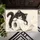 Black And White Cat With Toilet Paper For Playful Cat Lover Homes Doormat - 5