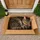 Curled Tabby Cat Asleep in Cardboard Box for Cozy Cat Lover Home Decor Gift Idea Doormat - 1