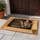 Curled Tabby Cat Asleep in Cardboard Box for Cozy Cat Lover Home Decor Gift Idea Doormat - 4