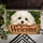Maltese Puppy Welcome With Rustic Wood and Greenery for Dog Lovers Doormat - 5